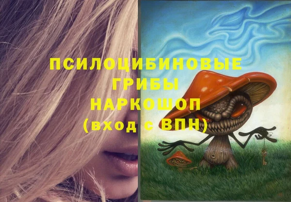 соль ск Нея