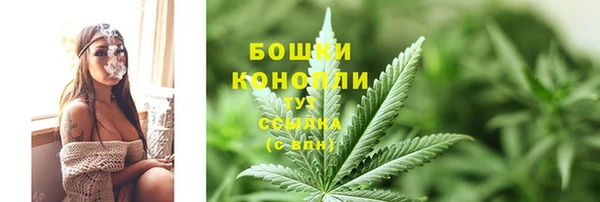 гидра Наволоки